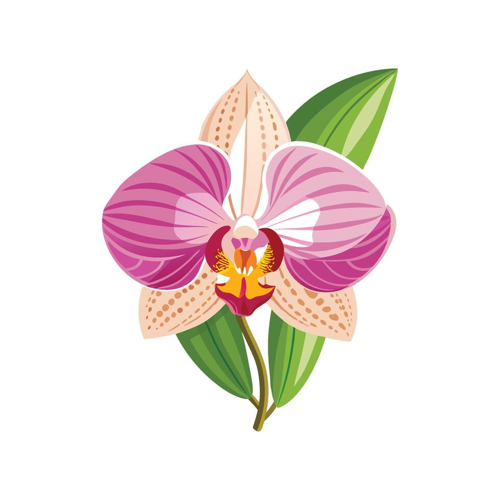 Charming Vanda Orchid for Nature Art vector