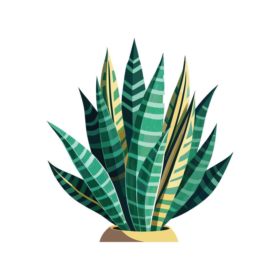 Charming Variegated Snake Plant Artwork vector
