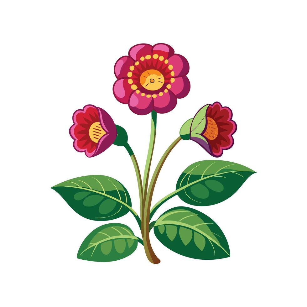 Elegant Calceolaria Velvet Plant for Home Decor vector