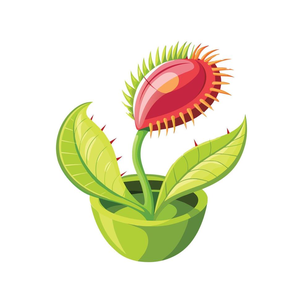 Stylish Venus Flytrap for Home Decor vector