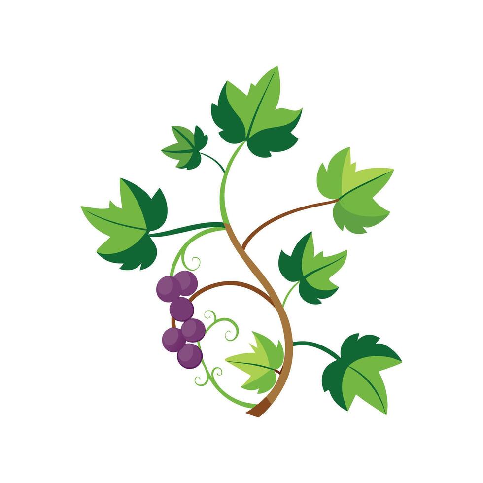 Charming Vine Plant for Nature Lovers vector