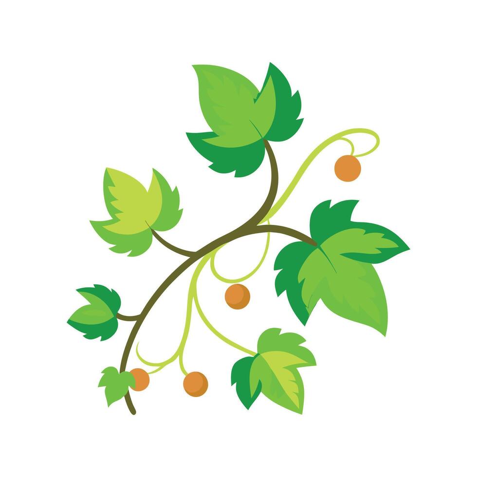 Stylish Vine Plant for Home Decor vector