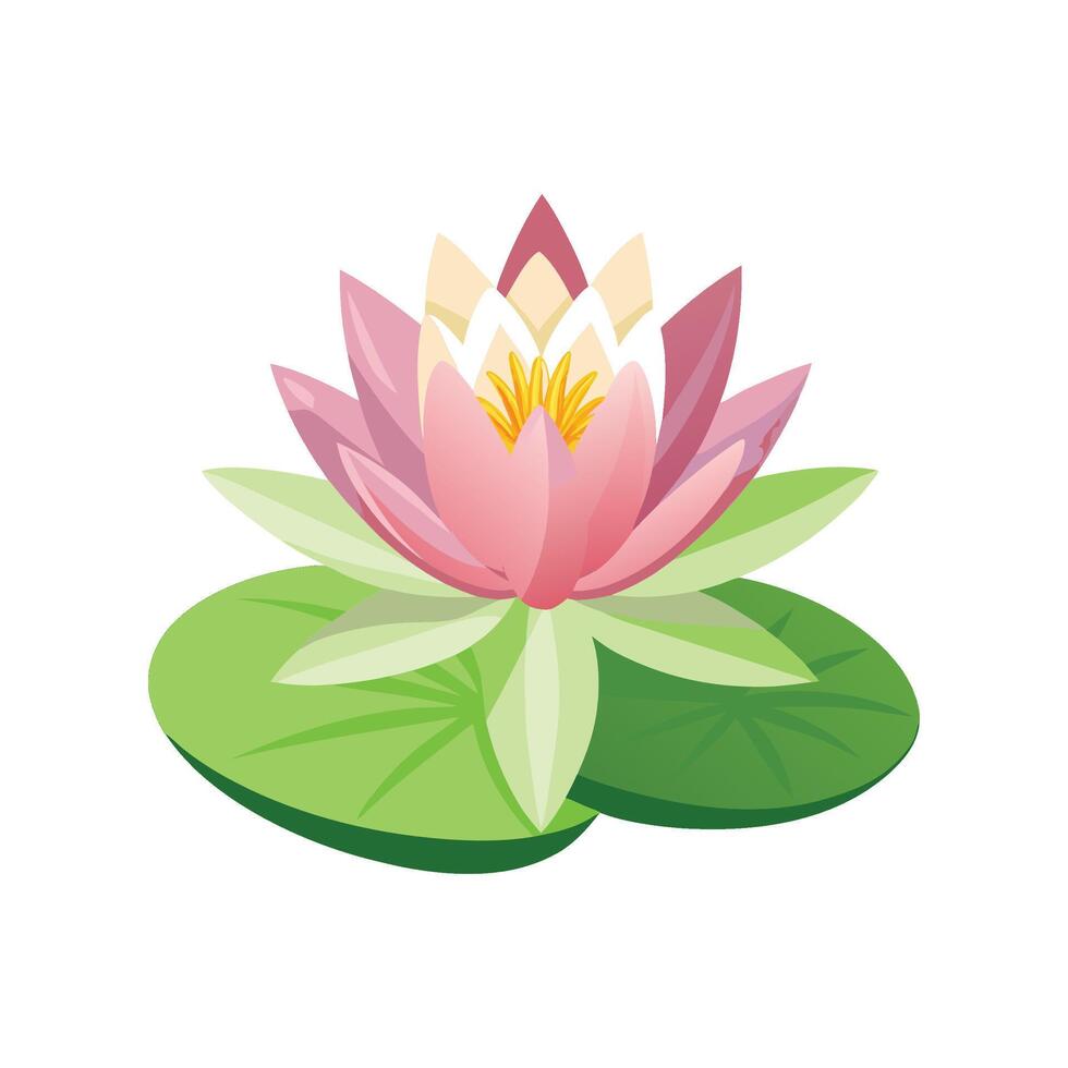 Elegant Water Lily Nymphaea Illustration vector