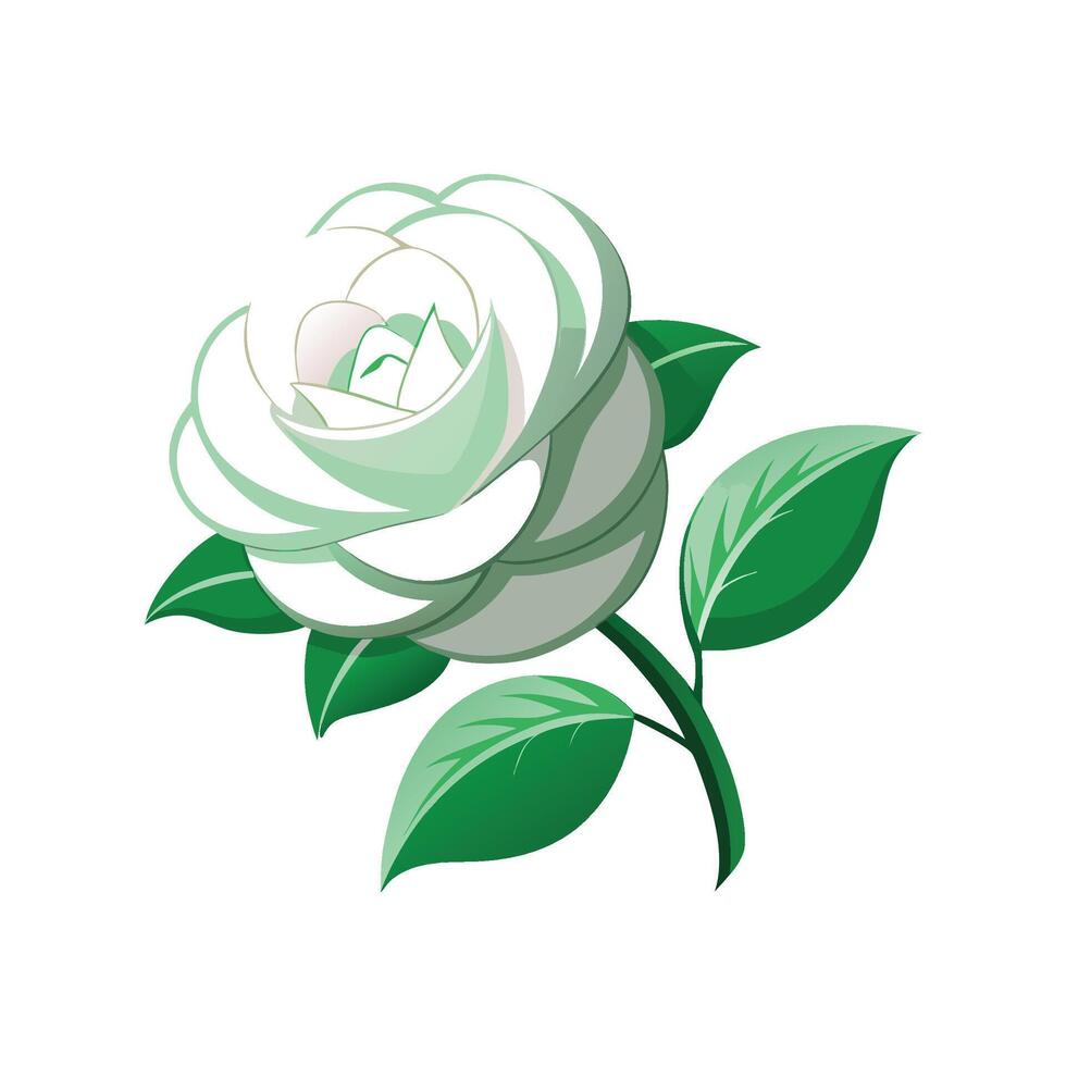 Elegant Drift Rose for Home Decor vector