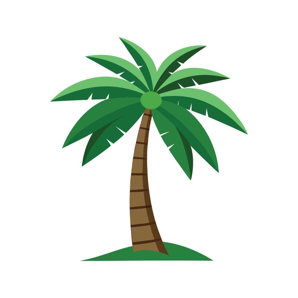 Elegant Windmill Palm for Nature Lovers vector