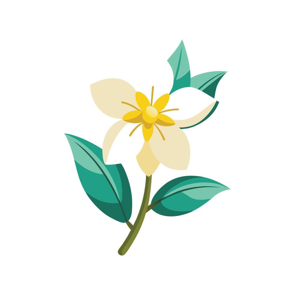 Beautiful Winter Jasmine for Creative Projects vector