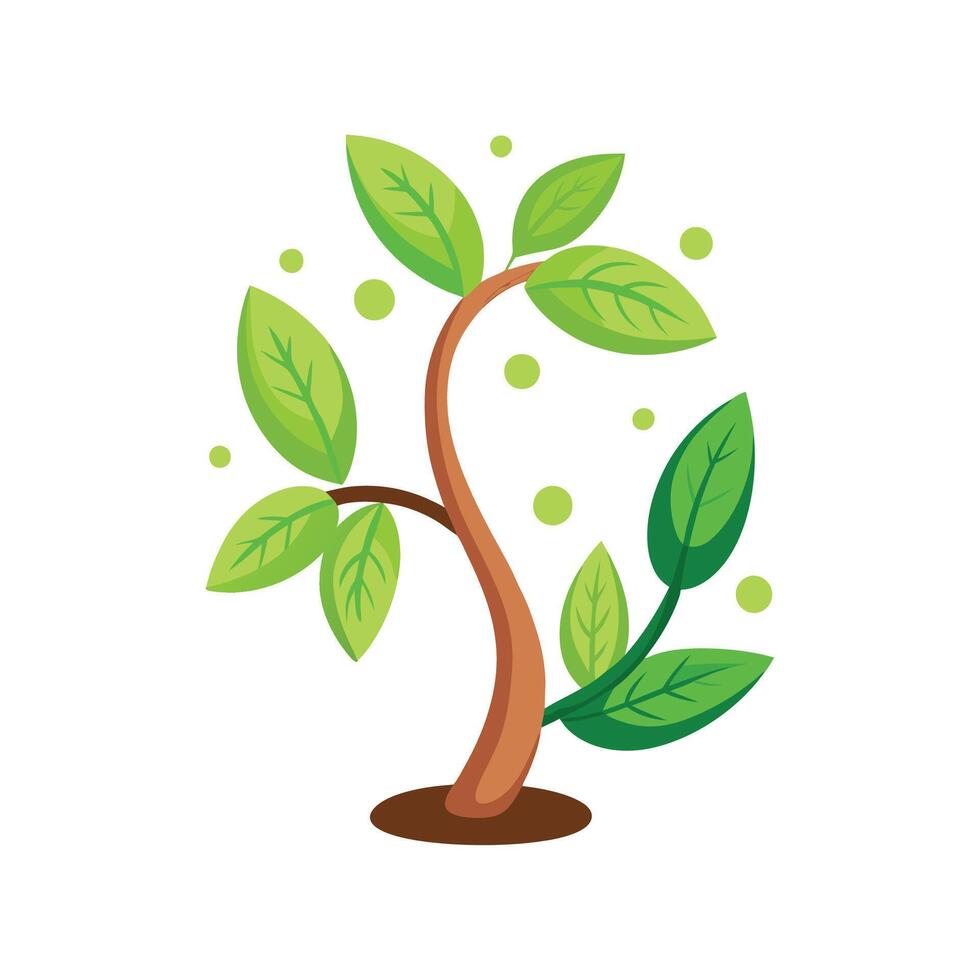 Elegant Wishbone Plant for Unique Decor vector