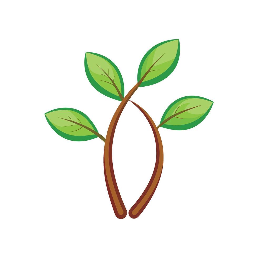 Charming Wishbone Plant for Nature Lovers vector