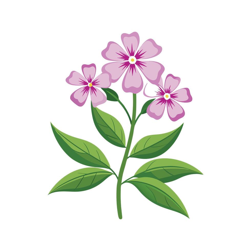 Elegant Woodland Phlox for Unique Designs vector