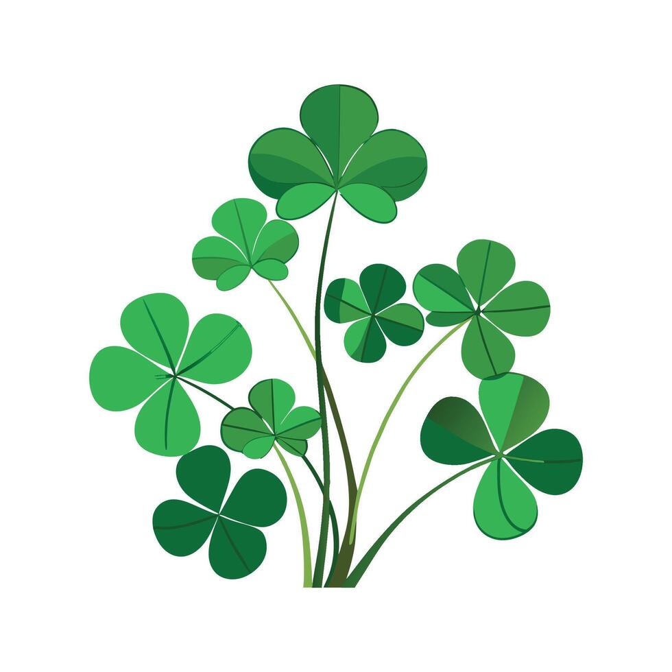 Stylish Oxalis for Home Decor vector