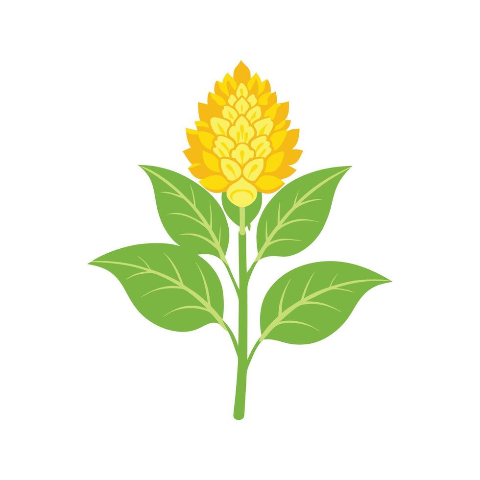 Beautiful Yellow Amaranth for Creative Projects vector