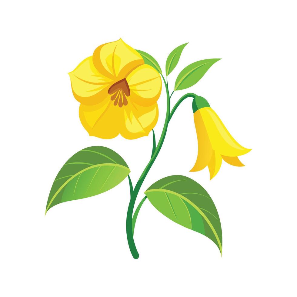 Vibrant Yellow Bell Tecoma Stans Plant vector