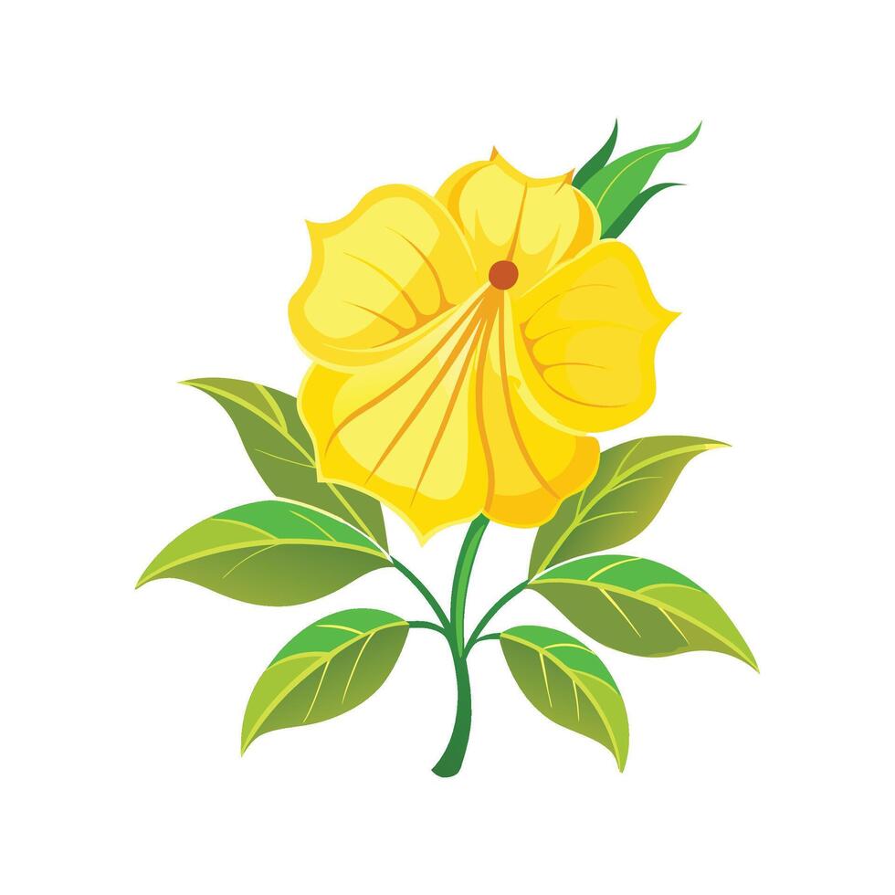 Beautiful Yellow Bell Tecoma for Home Decor vector