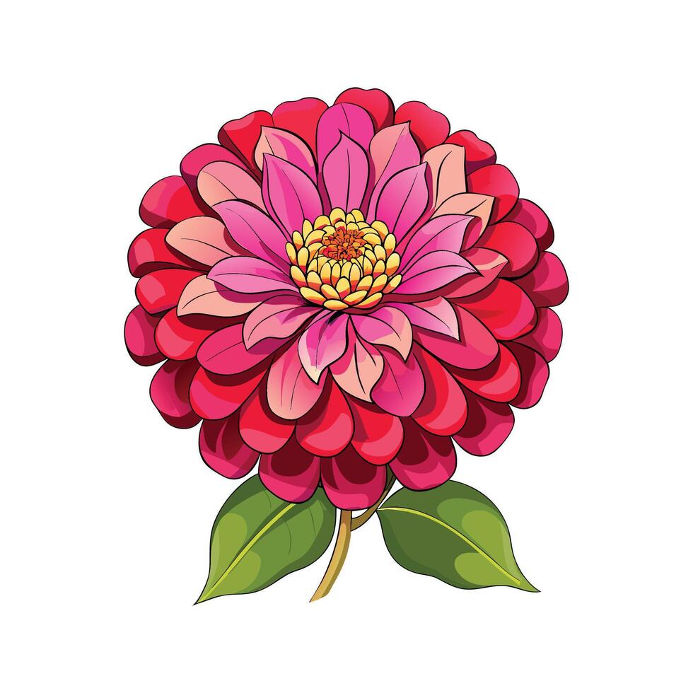 Stylish Zinnia for Home Decor vector