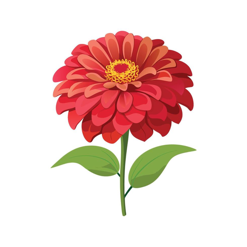 Beautiful Zinnia for Nature Lovers vector