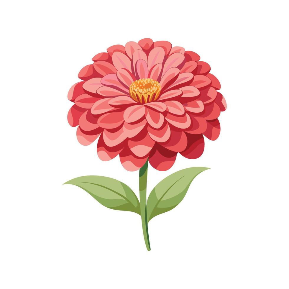 Elegant Zinnia for Unique Designs vector