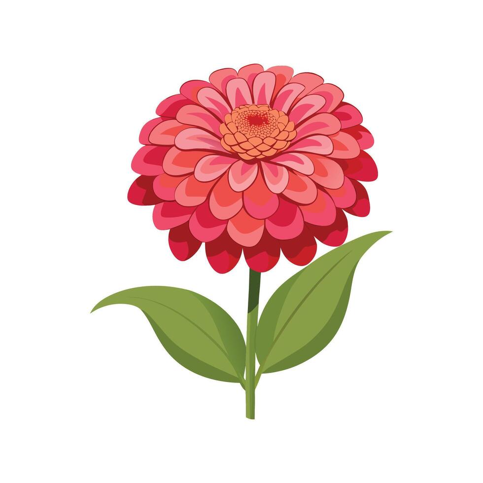 Artful Zinnia Elegans for Creative Projects vector