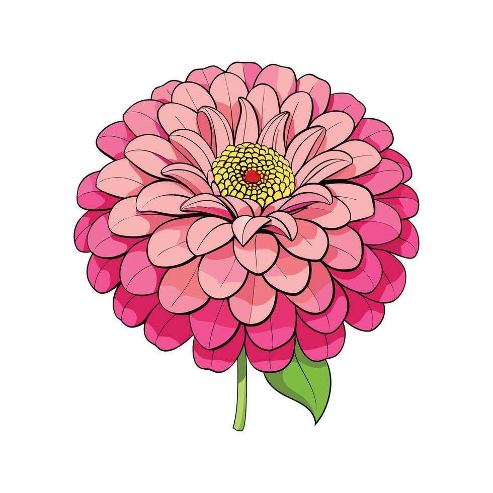 Beautiful Zinnia Elegans for Nature Lovers vector