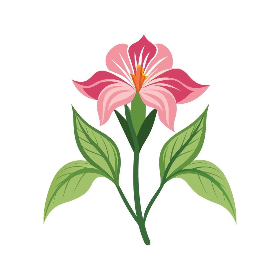 Stylish Zigadenus for Unique Floral Illustrations vector