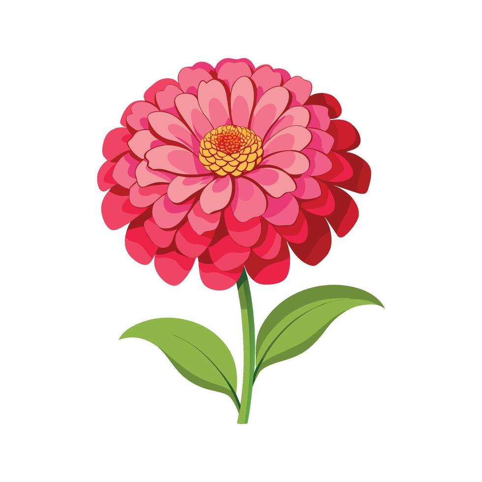 Elegant Zinnia for Beautiful Floral Artwork vector