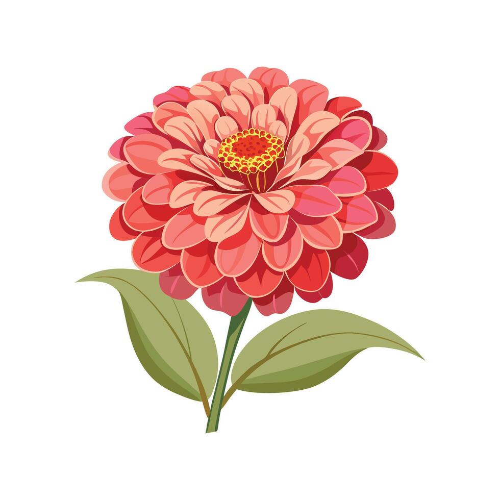 Charming Zinnia Flower Illustration vector