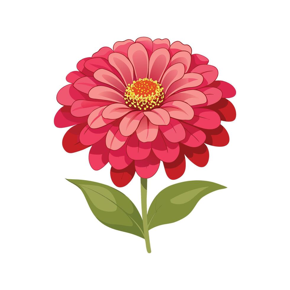 Vibrant Zinnia for Beautiful Floral Designs vector