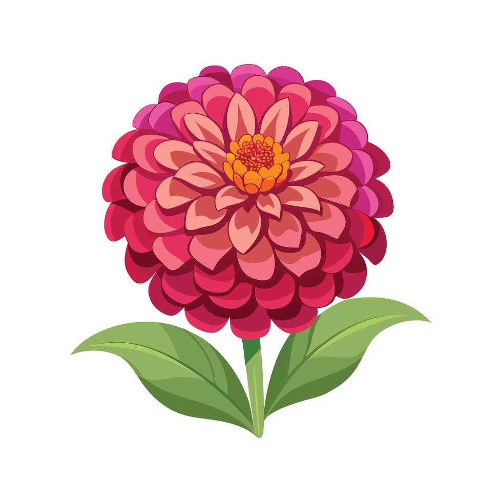 Elegant Zinnia for Unique Floral Art. vector