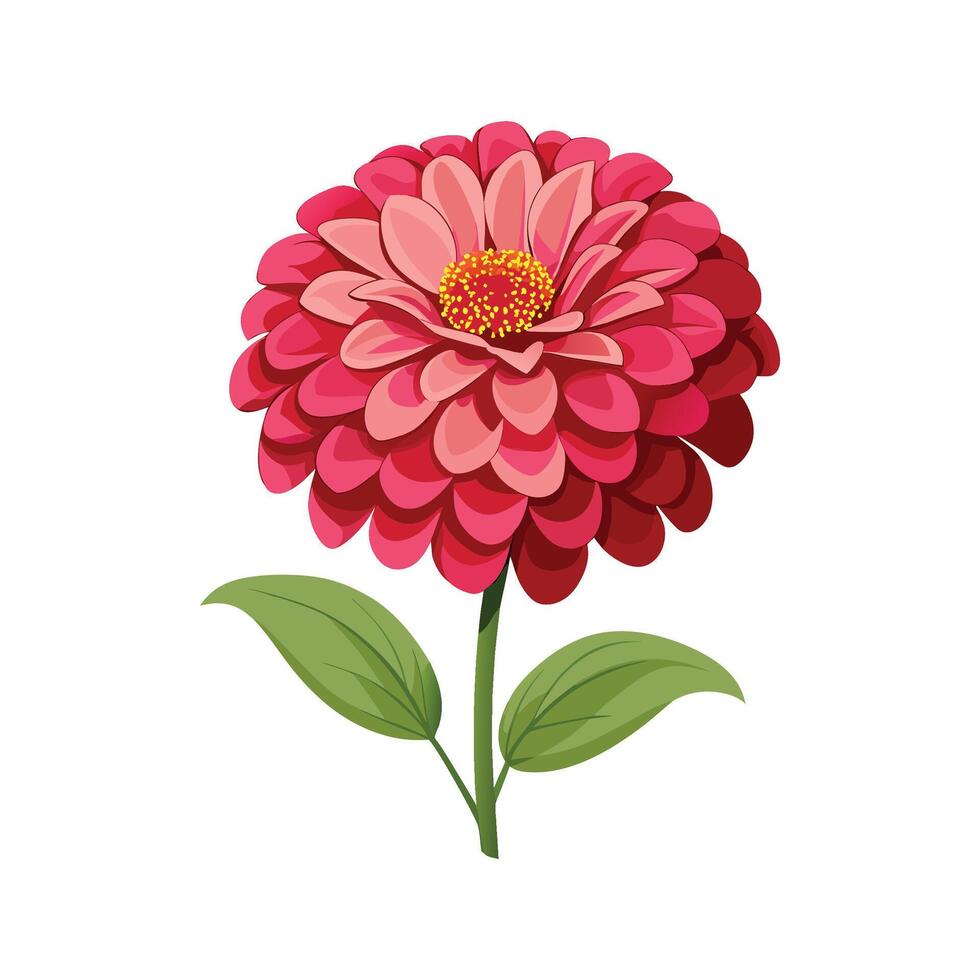 Charming Zinnia for Unique Floral Designs vector