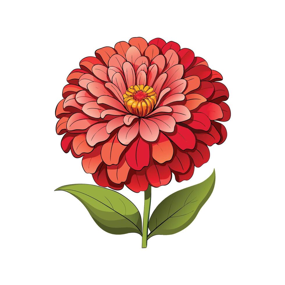 Stylish Zinnia for Unique Floral Illustrations. vector