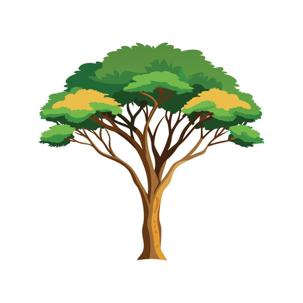 Stylish Acacia Design Artwork vector