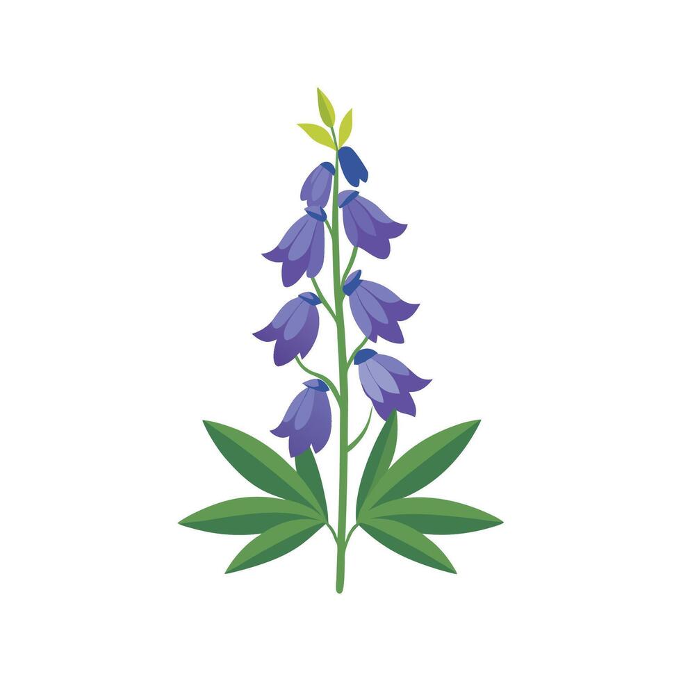 Charming Aconitum Flower Design Art vector