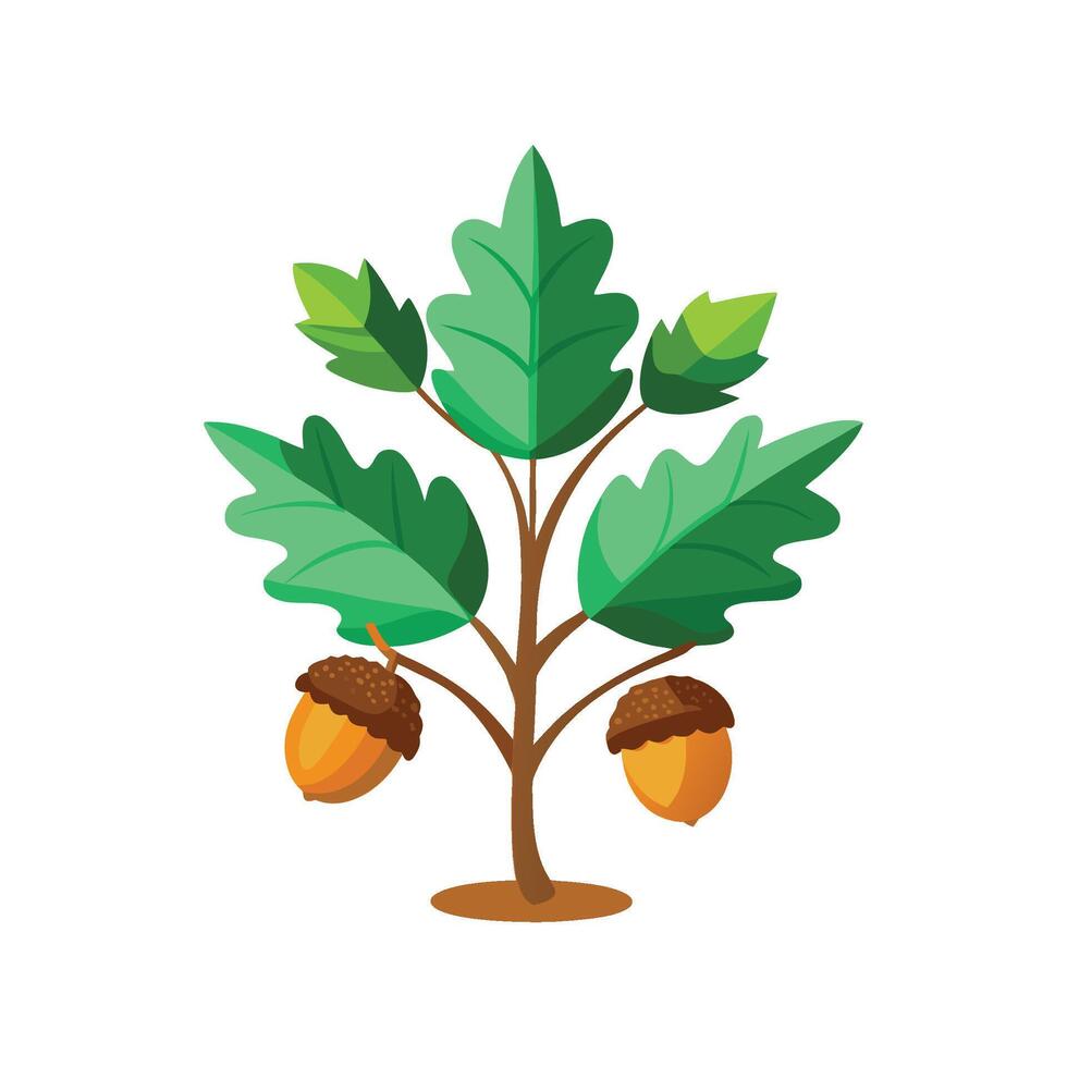 Artistic Acorn Plant Floral Design vector