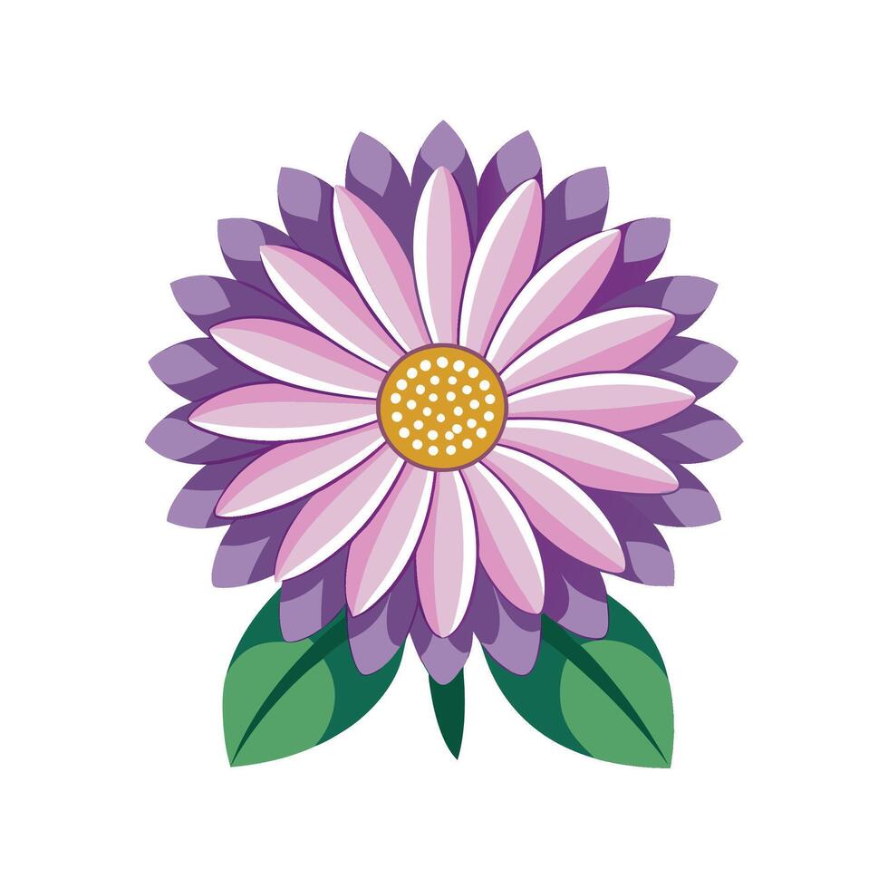 Charming African Daisy Flower vector