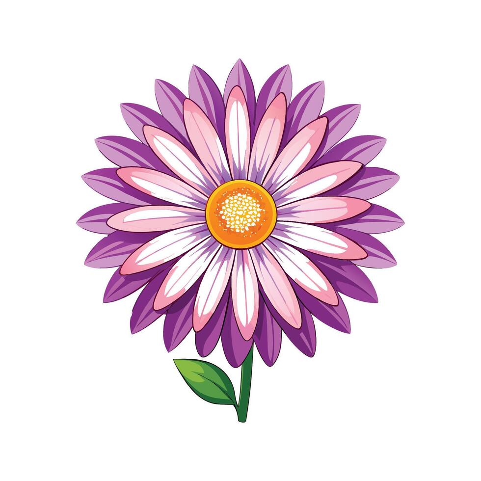 Elegant African Daisy Plant Design vector