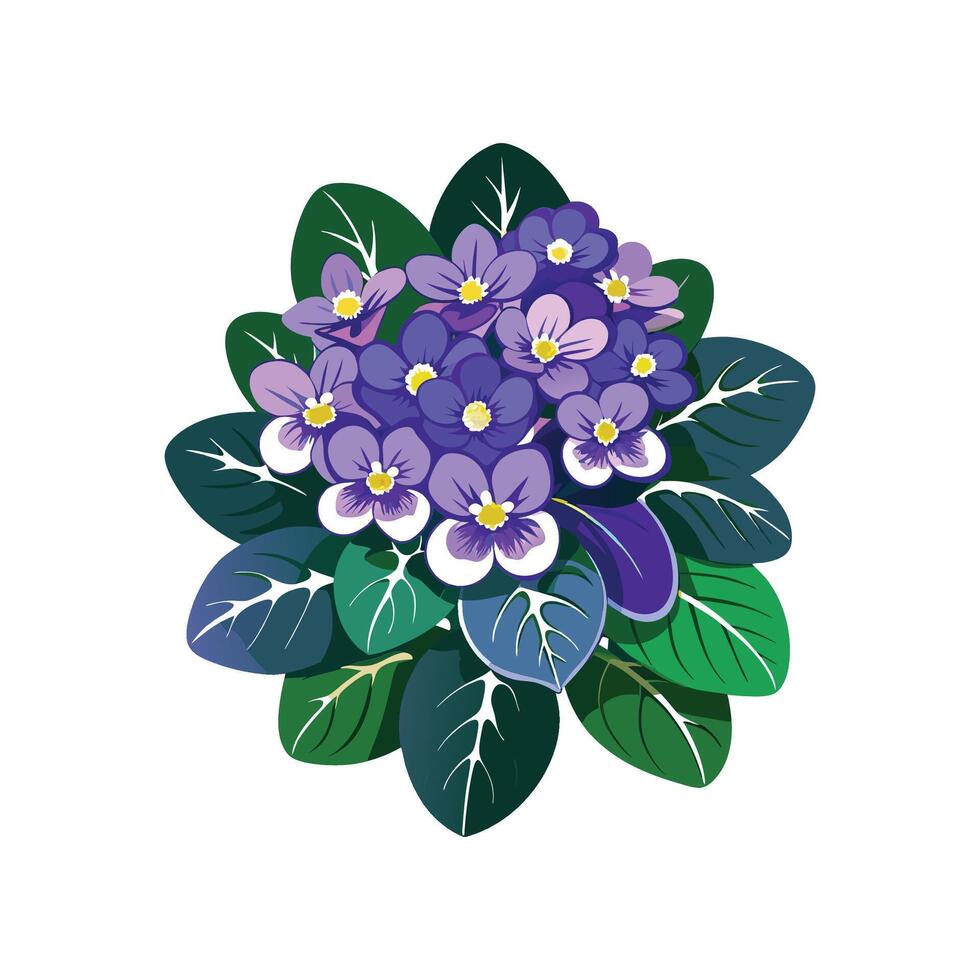 Stylish African Violets Plant Design vector