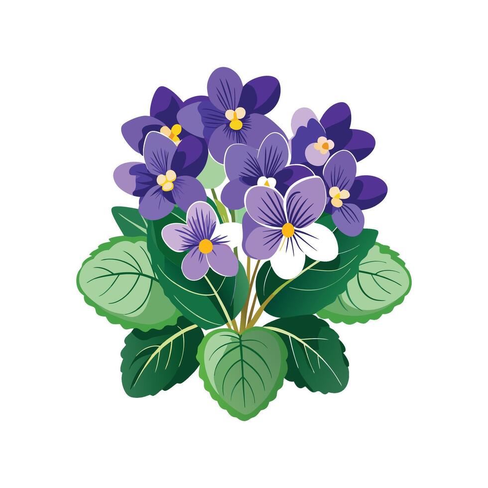 Stylish African Violets Flower Art vector