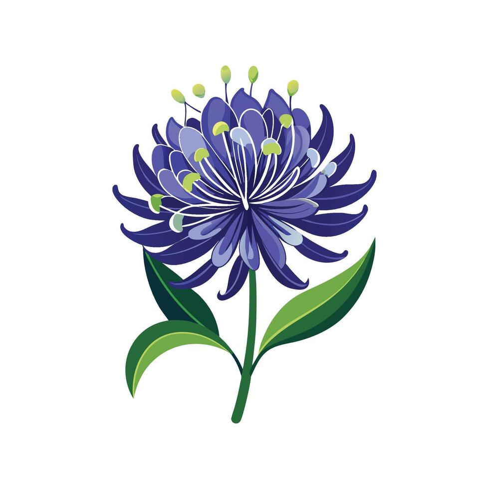 Artistic Agapanthus Flower Nature Illustration vector