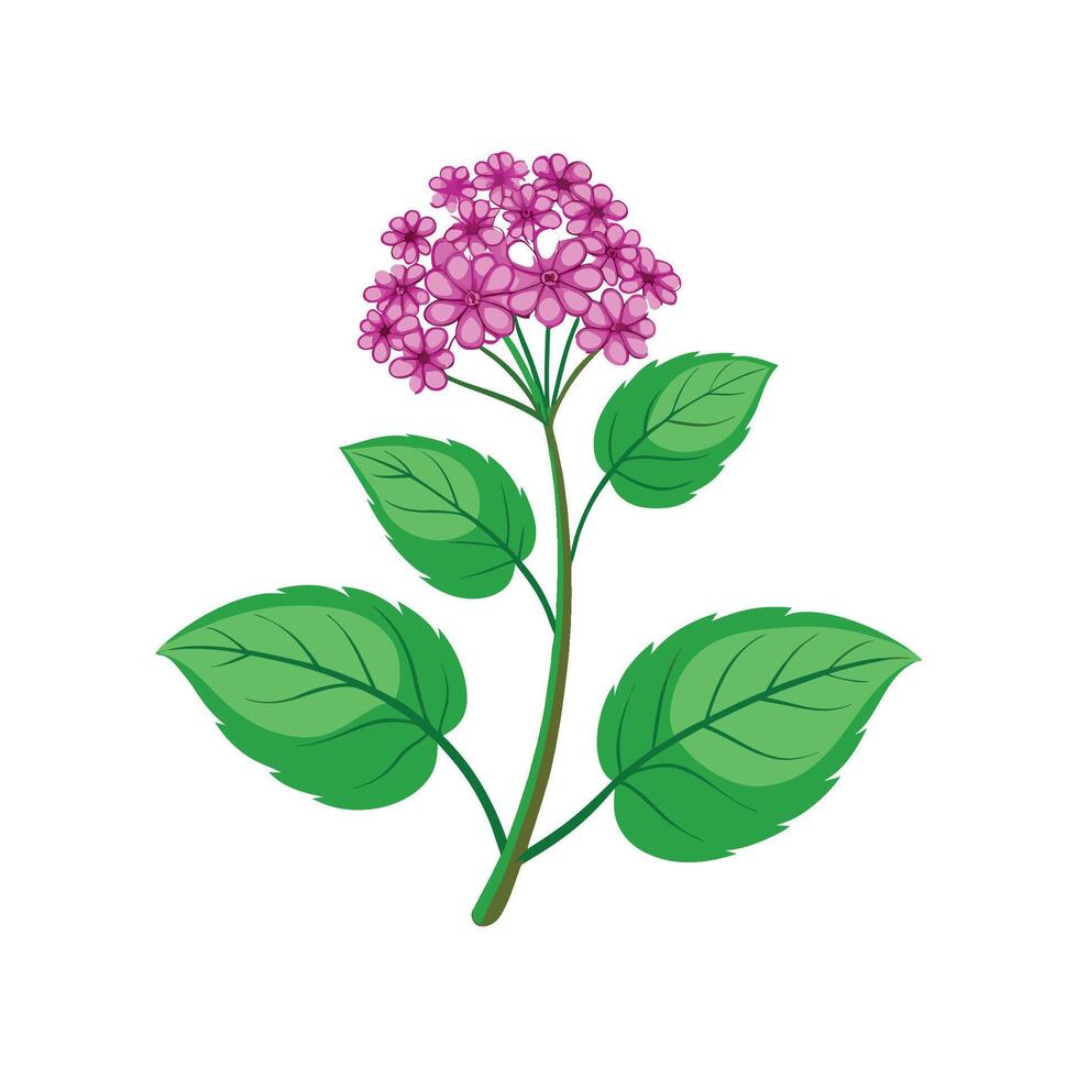 Charming Ageratum Flower Nature Design vector