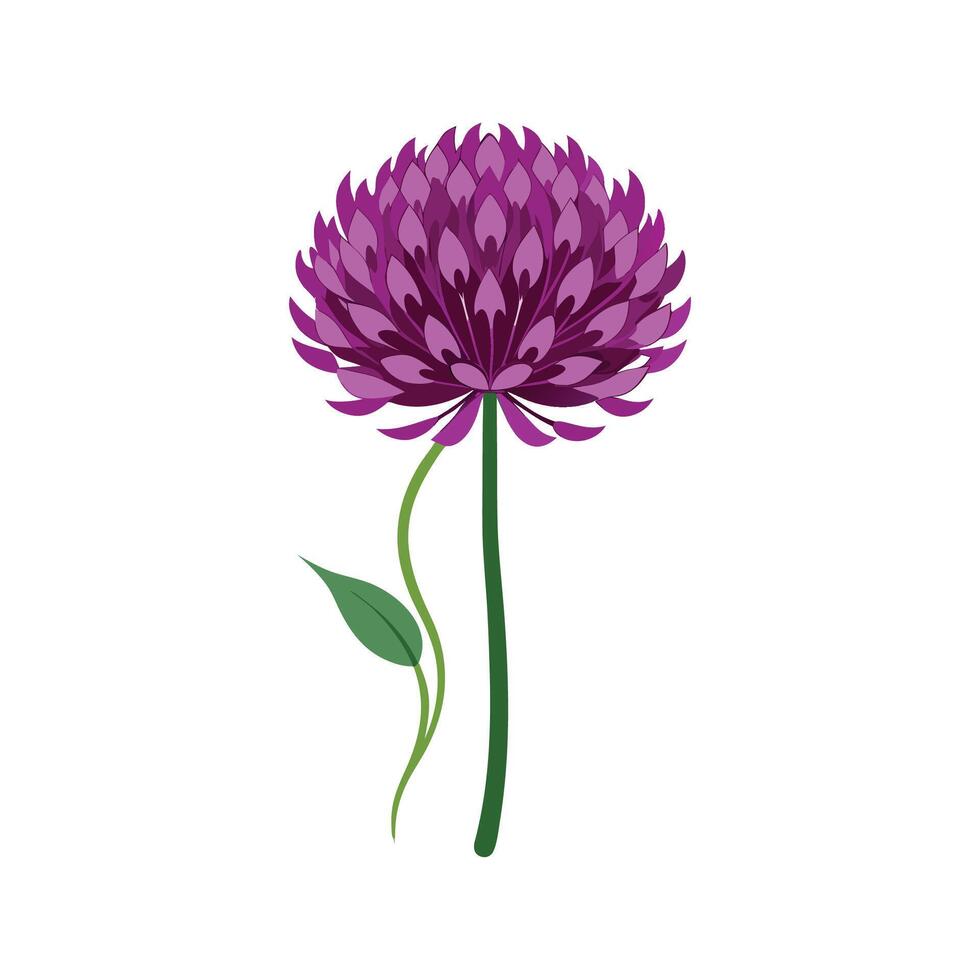 Charming Allium Floral Nature Artwork vector