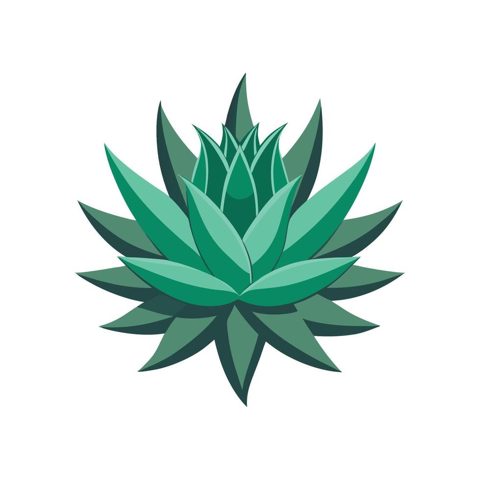 Vibrant Aloe Flower Nature Illustration vector