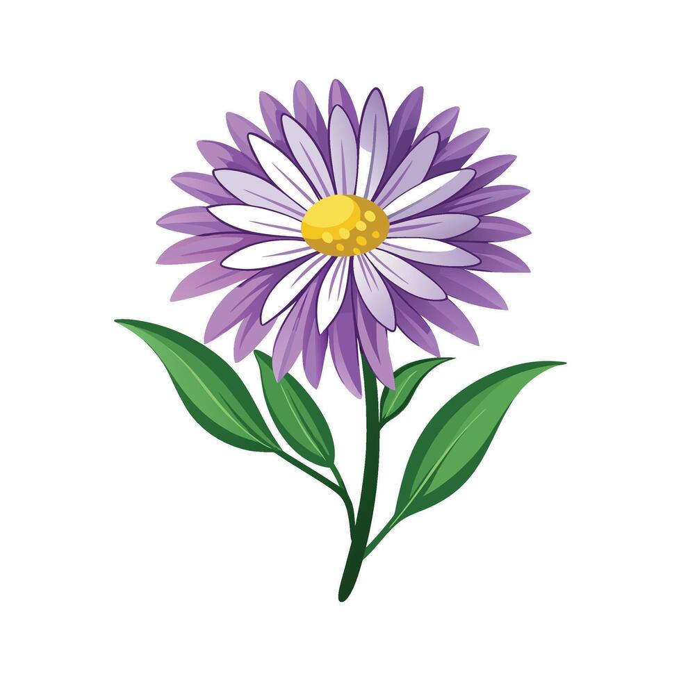 Stylish Alpine Aster Flower Nature Design vector