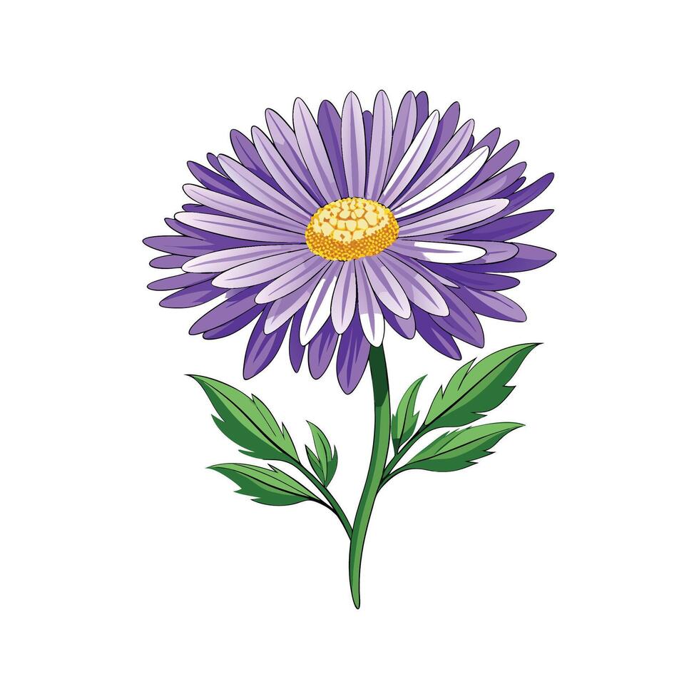 Vibrant Alpine Aster Floral Artwork vector