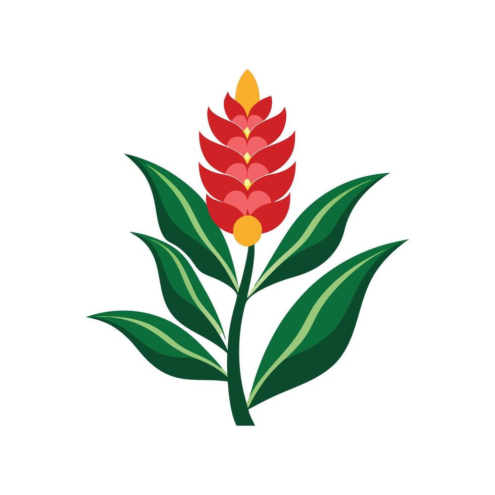 Elegant Alpinia Plant Artwork vector