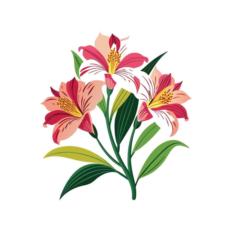 Vibrant Alstroemeria Flower Design Art vector