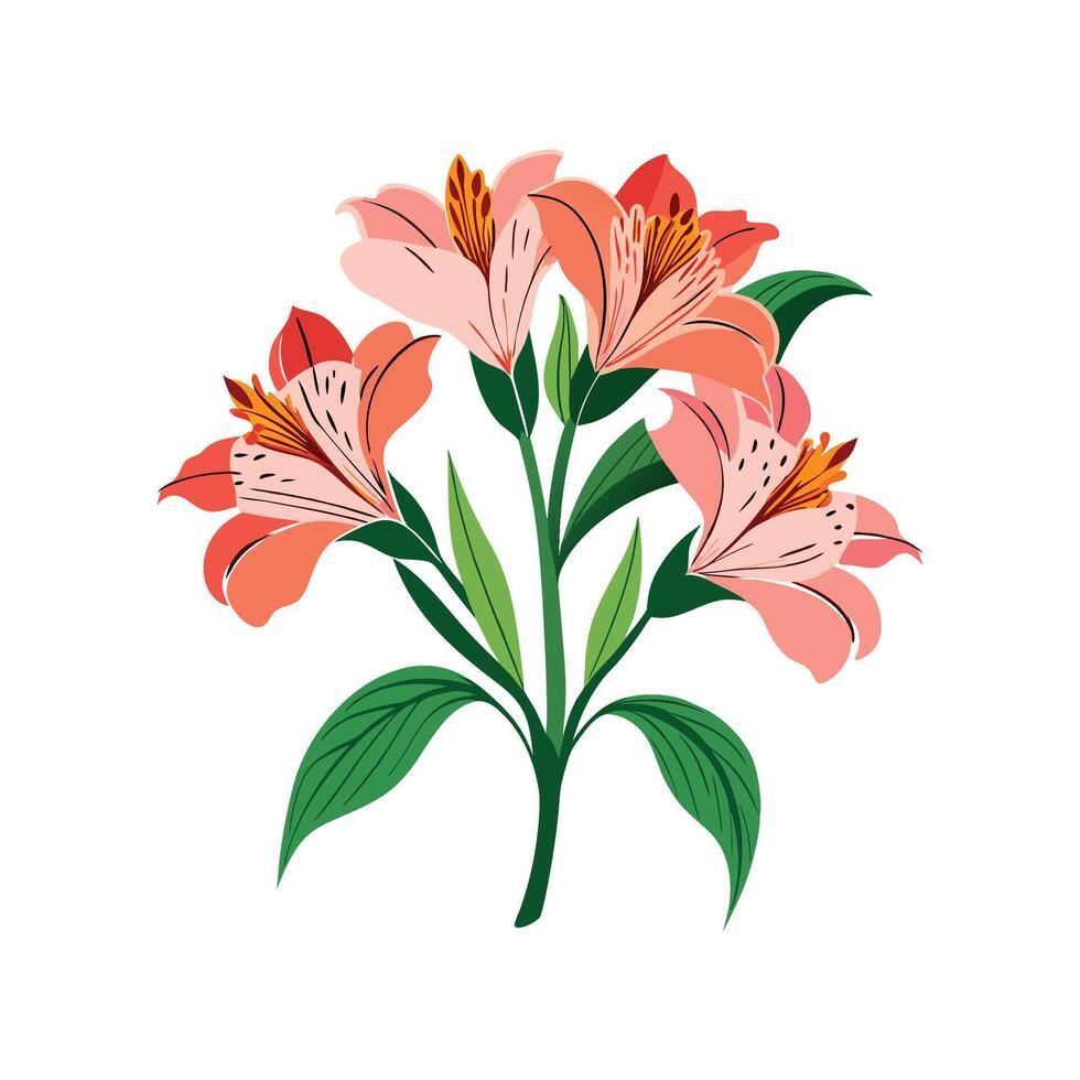 Creative Alstroemeria Floral Design Art vector