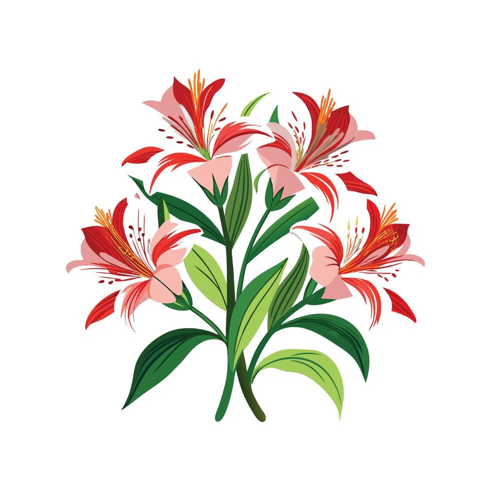 Elegant Alstroemeria Floral Nature Design vector