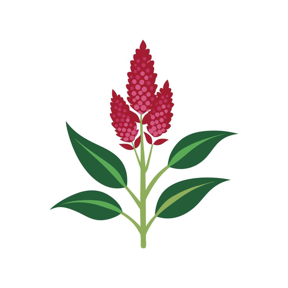 Stylish Amaranth Flower Floral Design vector