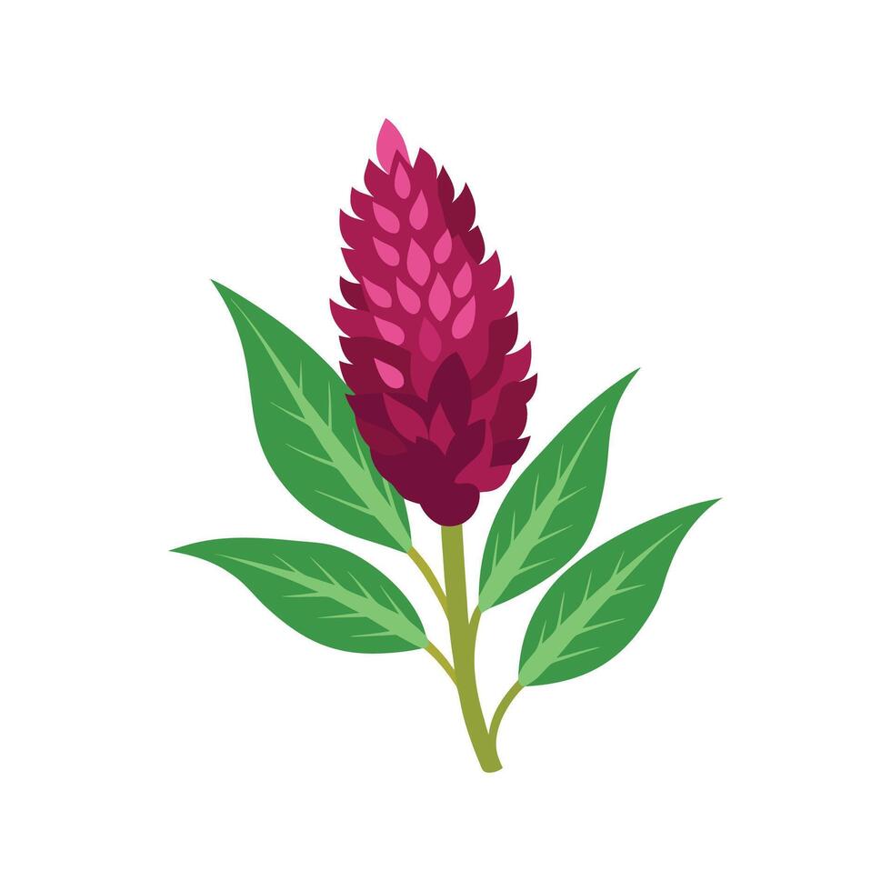 Vibrant Amaranth Flower Design Art vector