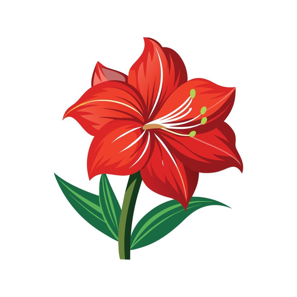 Elegant Amaryllis Flower Nature Artwork vector
