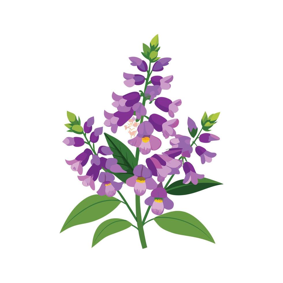 Charming Angelonia Flower Design Art vector